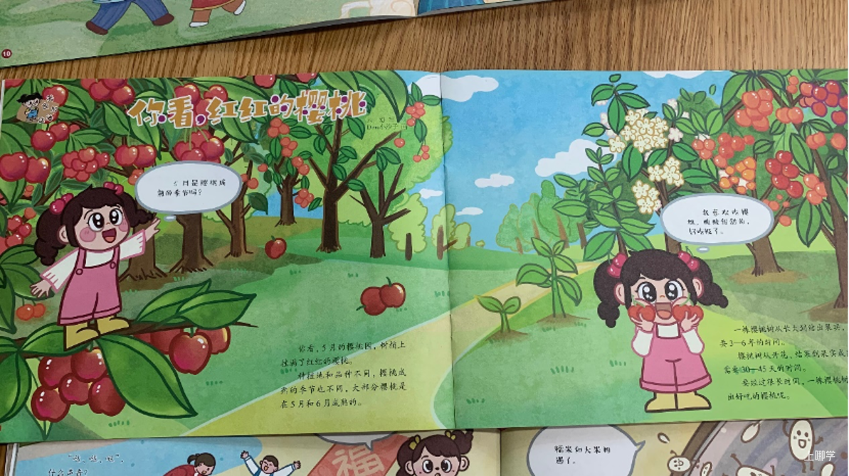涨价了！正在涨，还要涨！分班必备！上海地区80%以上幼儿园订阅、幼儿语言启蒙天花板《看图说话》，懂的都懂！相关资料 25