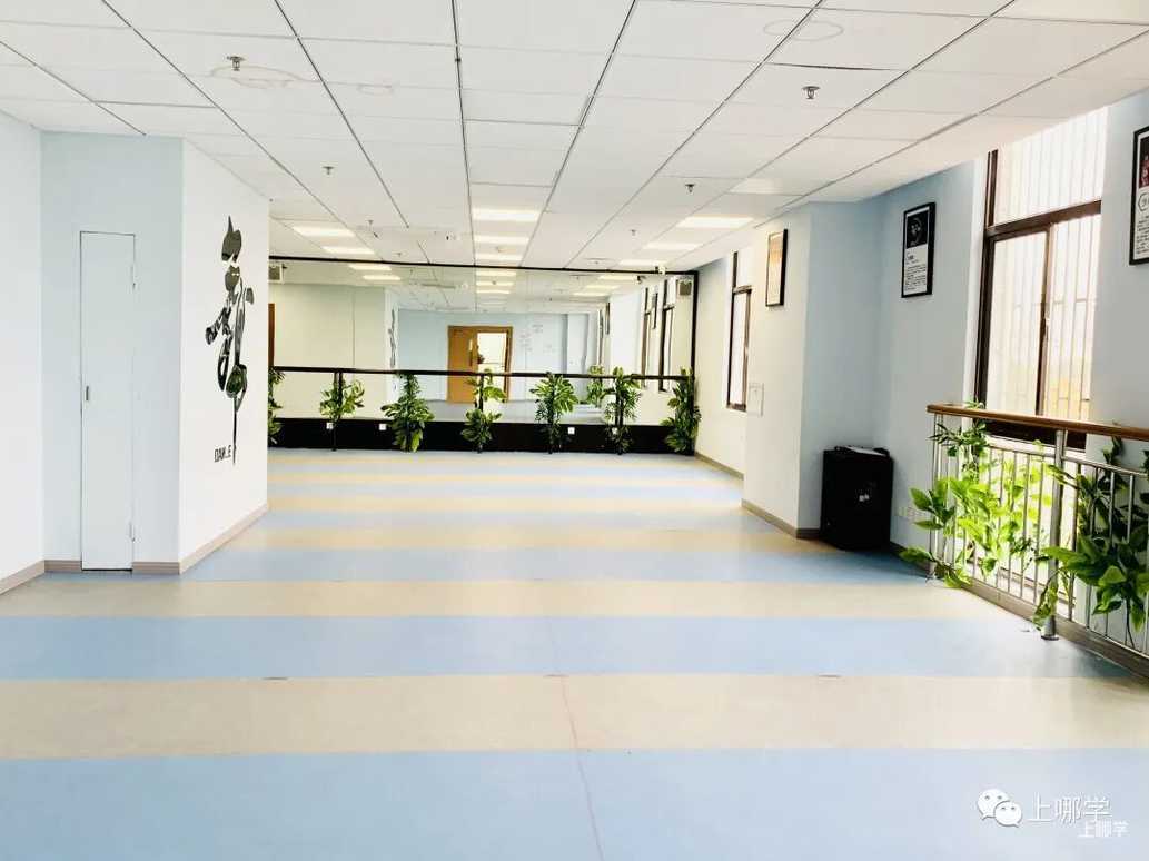双轨制双通道！上海这所民办小学开始2022咨询了！附学费信息+招生范围+开放日预约！相关资料 20