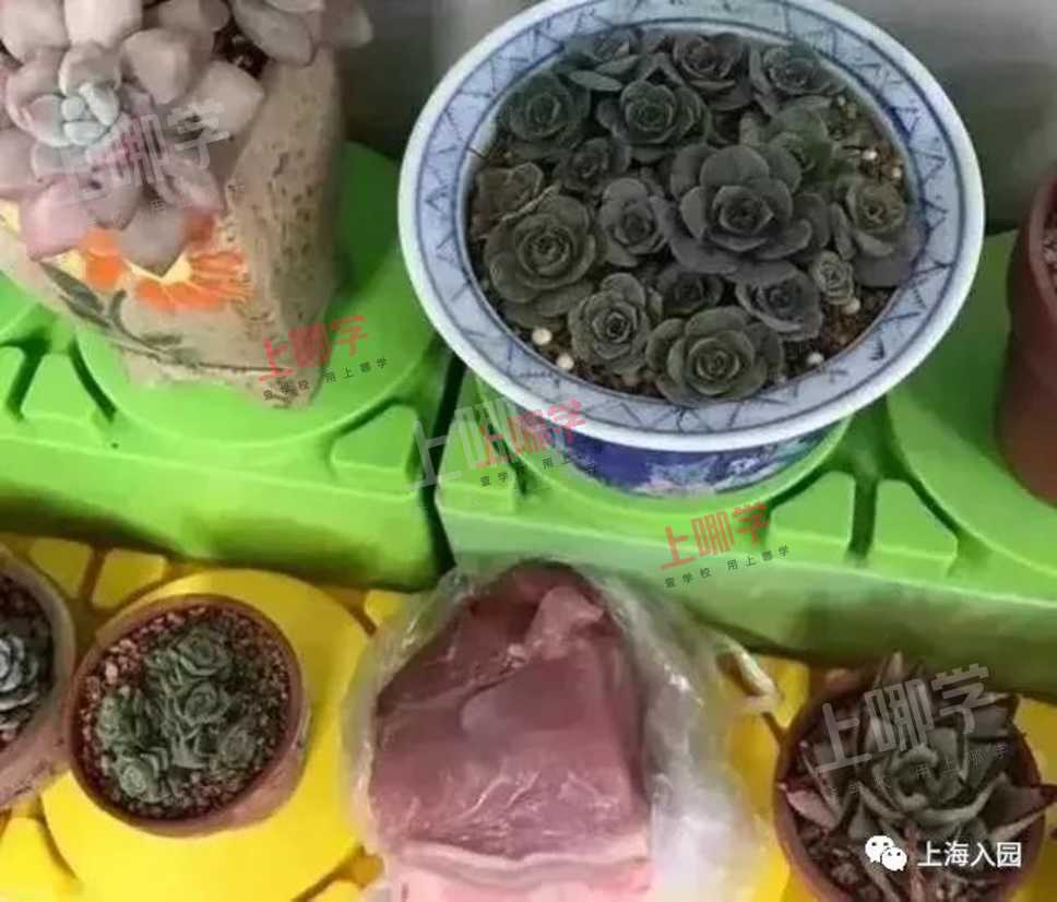 逼疯家长的幼儿园手工作业！有你的同款吗？有老师表示，真的绝了！哈哈哈哈哈哈哈相关资料 4