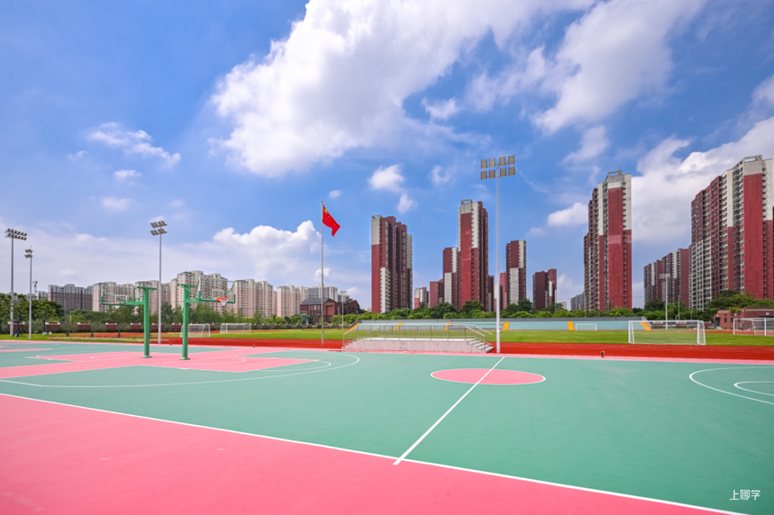 5月14日开始报名！上海交通大学附属闵行实验学校报名流程出炉！有且仅有一次提交机会！相关资料 19