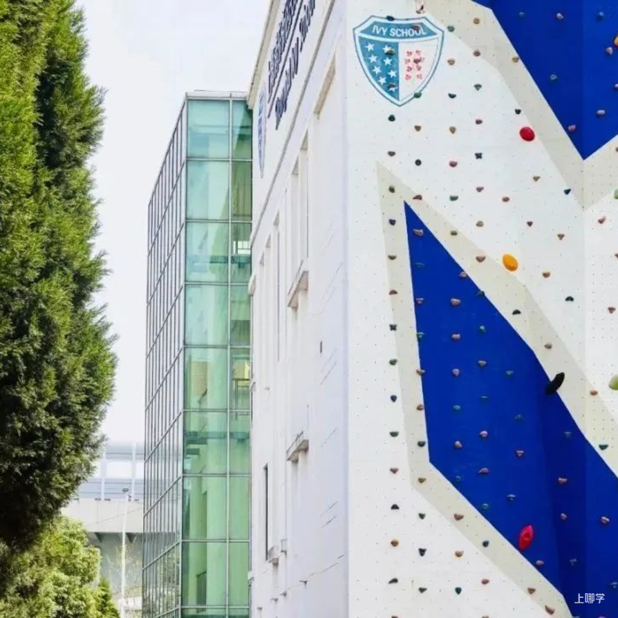 秋季学位提前锁定！这批民办小学周末开放日预约中相关资料 9