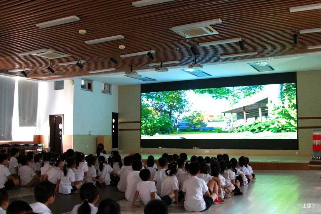 10所影视优秀校（中小学）名单公布！闵行校园盛开影视教育花相关资料 5