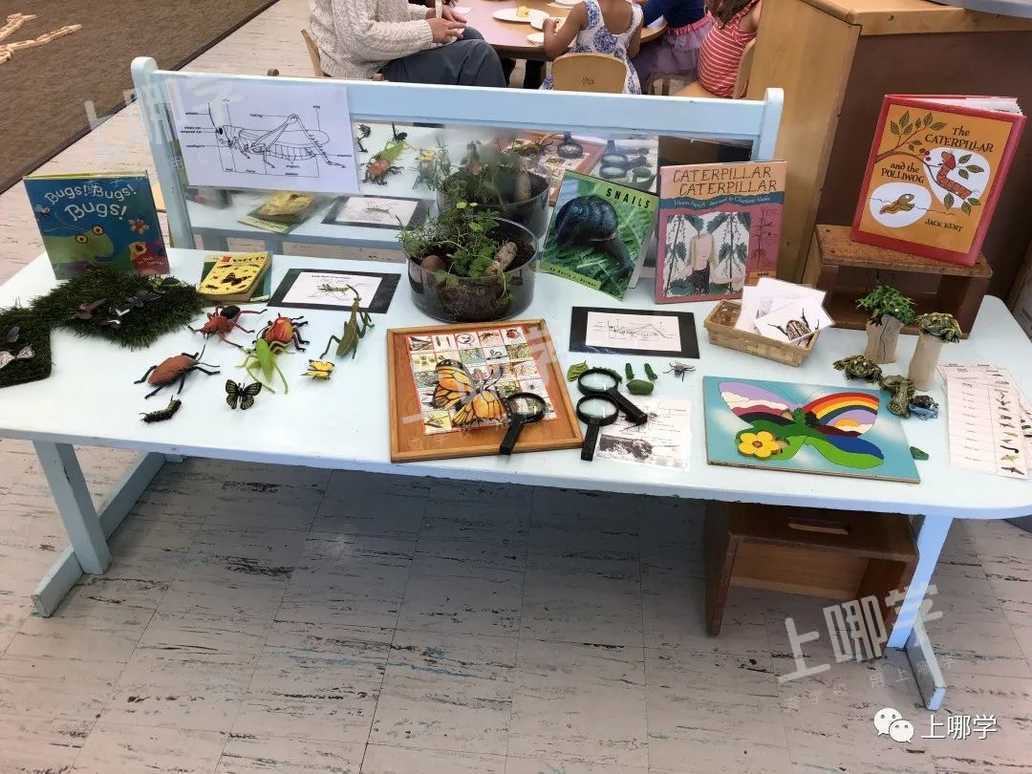 托班开放日限额来袭！黄浦区这家托育园带你体验PBL托班的教学特色相关资料 5