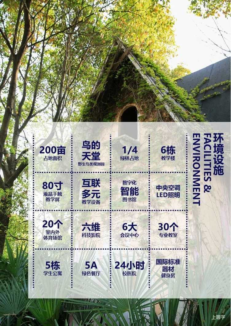 9月入学！多所双语课程小学，秋季学位开始预约！部分全市招生，不限户籍相关资料 17