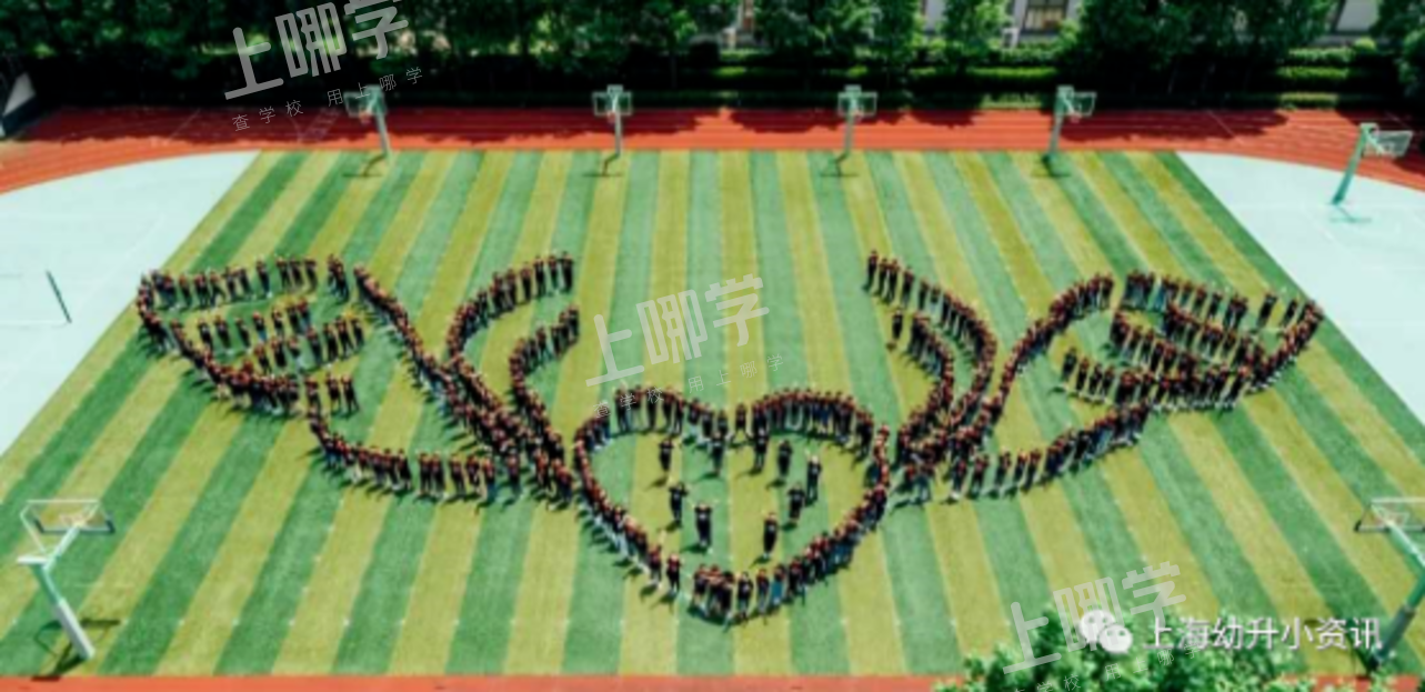 徐汇区小学教育资源分析丨拥有多所热门小学，上中新校重磅落地，再度腾飞！相关资料 23
