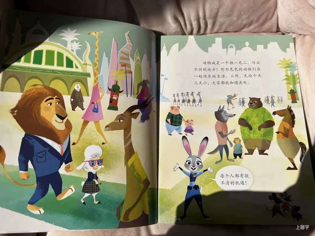 终极薅羊毛！迪士尼正版授权每本不到3元！3-6岁家庭绘本套装12册，冰雪奇缘、疯狂动物城…抢爆了！相关资料 19