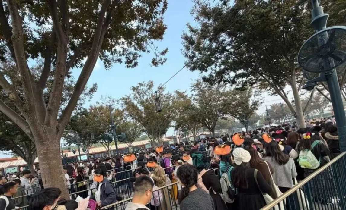 上海期中氛围紧张之际，“秋假大军”正在出动！不少家长呼吁：什么时候有春秋假！相关资料 3