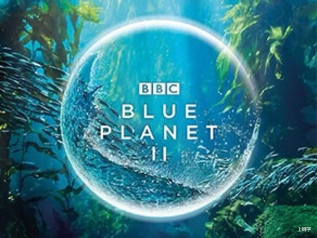 真实剧照｜《蓝色星球》（来源：bbcearth.com）