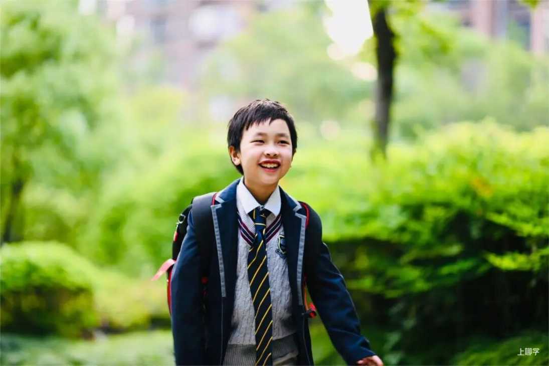从IB满分到AI创新，这所学校如何定义“未来精英”的成长路径？相关资料 92
