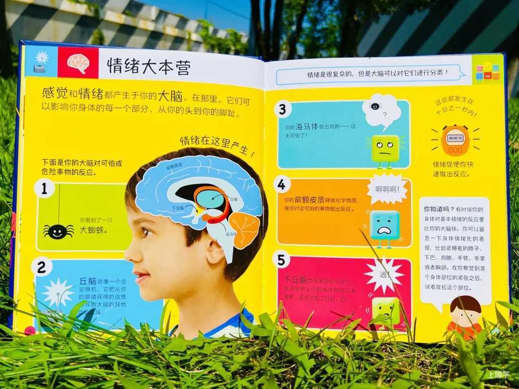 “低情商”的孩子其实从小就能一眼看出，许多父母还不以为意相关资料 17
