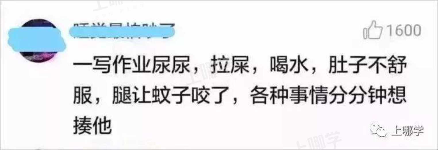 今天！祝所有“无证上岗”的家庭教师节日快乐！太真实了哈哈哈哈哈哈相关资料 17