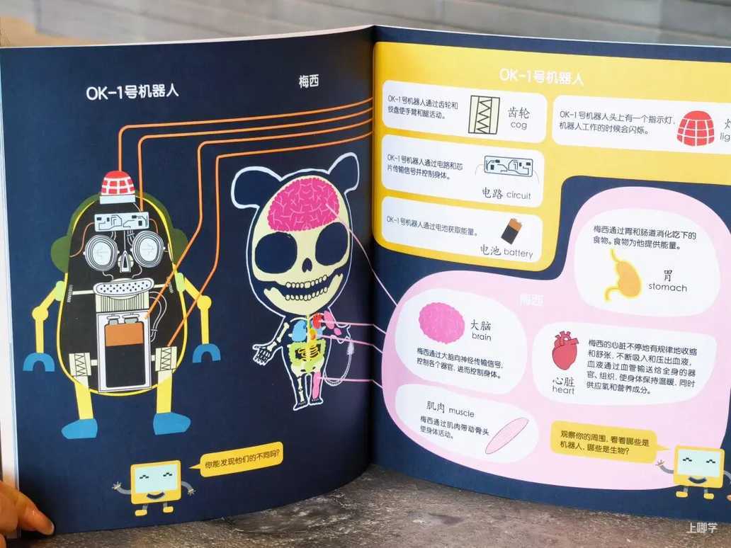 5岁后，孩子这种表现是当学霸的料！说明你把孩子养得很好相关资料 22