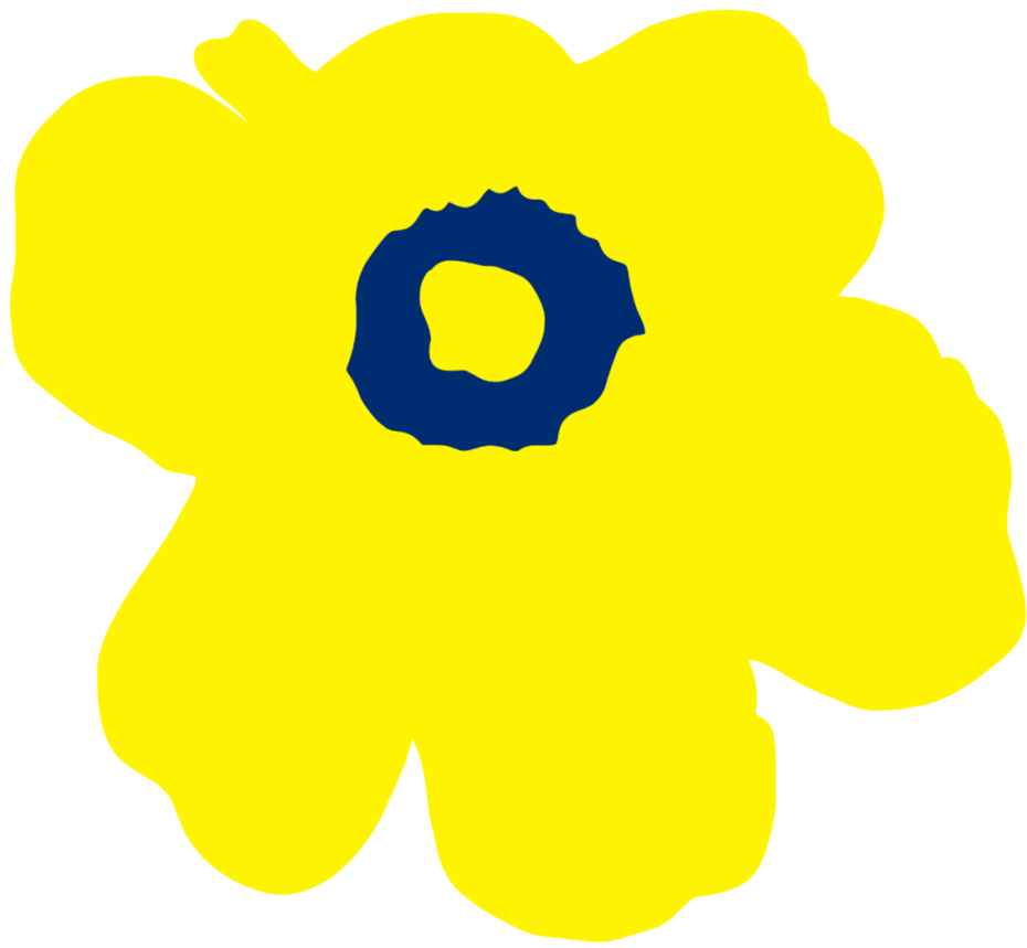 【220513三条 ok】接招！“花花世界”的宝藏玩法相关资料 16