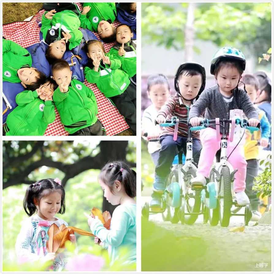 上海市徐汇区机关建国幼儿园2022年招生简章！招托班相关资料 8