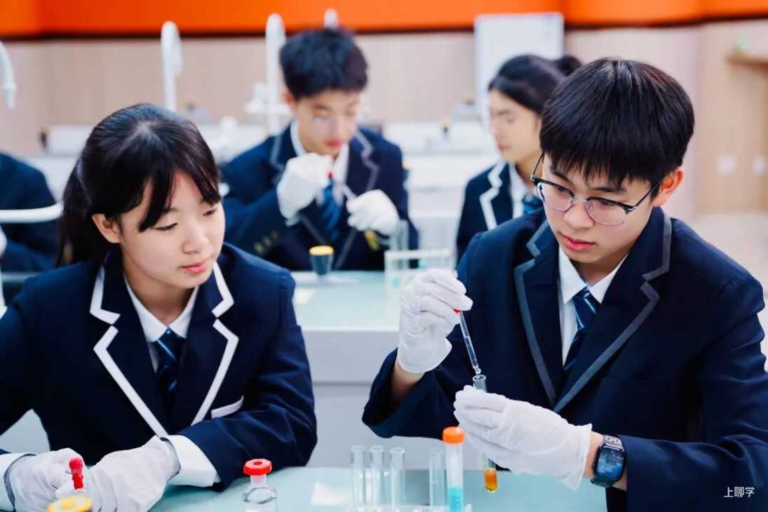 从IB满分到AI创新，这所学校如何定义“未来精英”的成长路径？相关资料 38