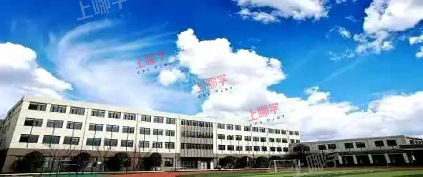 黑马反超！上海这所学校后来居上！数奥决赛17人斩获金牌！9人进入国集，获清北保送资格！ 相关资料 9
