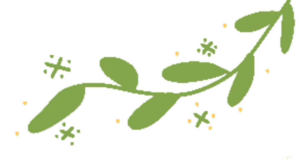 孩子上产证是第一录取档位！2026年闵行区春申景城幼儿园招生通告！相关资料 4