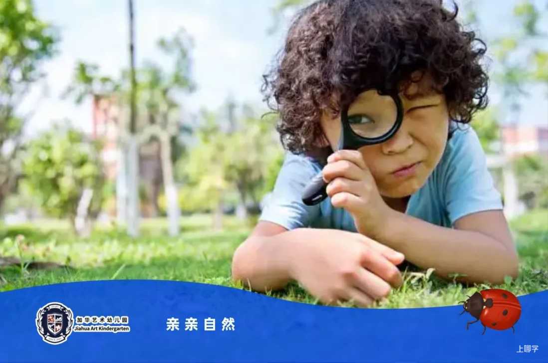 可全市招生！上海这一所开办18年的双语幼儿园，深受家长喜爱！相关资料 10