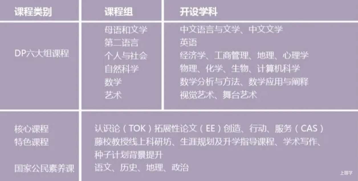从IB满分到AI创新，这所学校如何定义“未来精英”的成长路径？相关资料 29