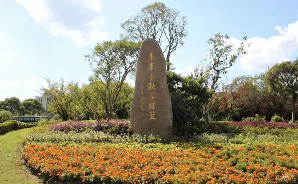 重磅！复旦、交大、同济、华东师大齐宣布：本科扩招！相关资料 15
