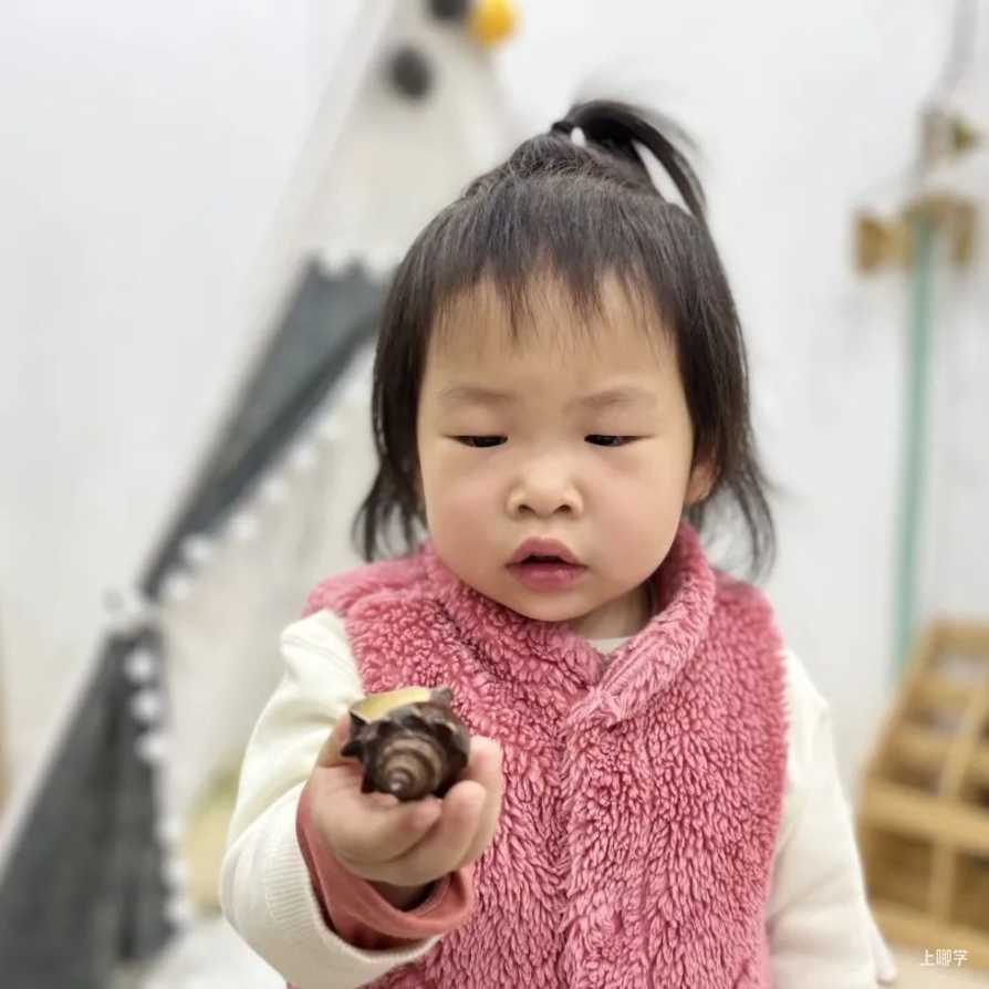 嘉乐贝贝托班春季招生开始咯相关资料 4