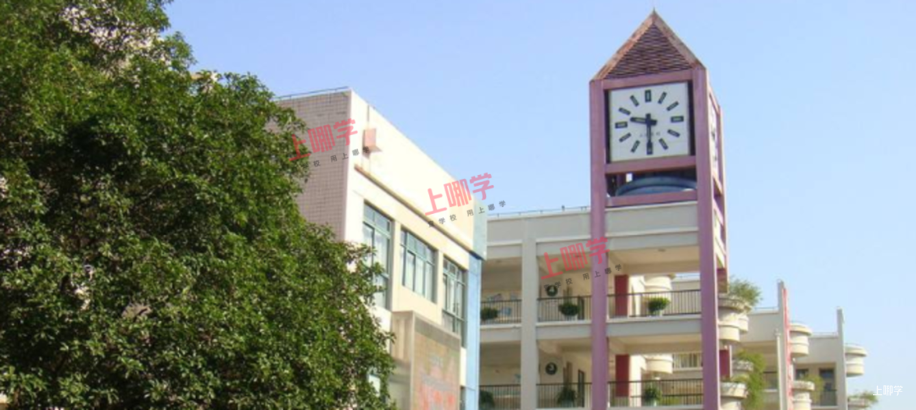 上海市优质小学资源闵行区七宝镇明强小学附2021年招生简章