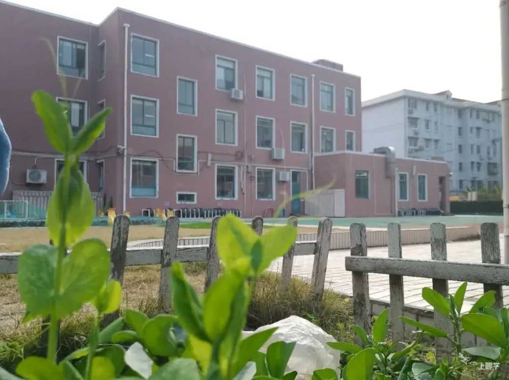 上海宝山区高境贝贝马艺术幼儿园开始招生啦！！！相关资料 15
