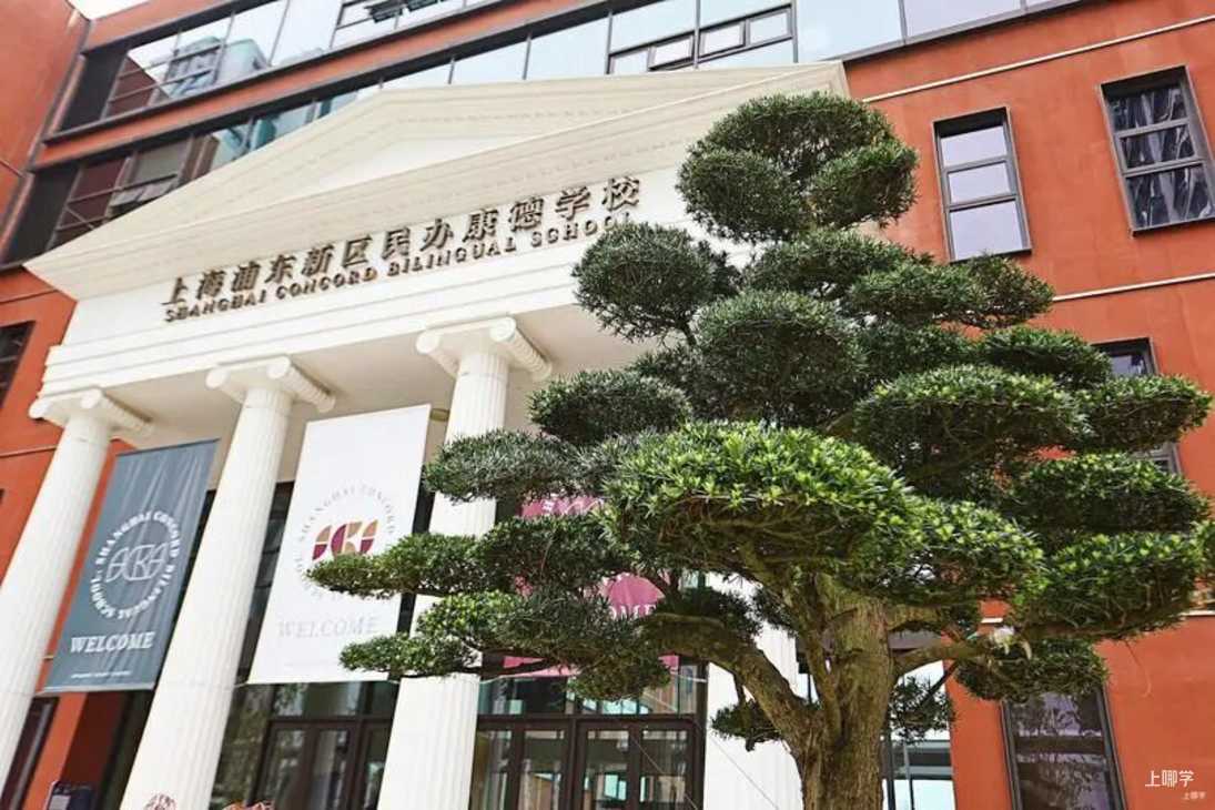上海国际高中，2026招生启动！附最新招生开放日&线上咨询链接～相关资料 10