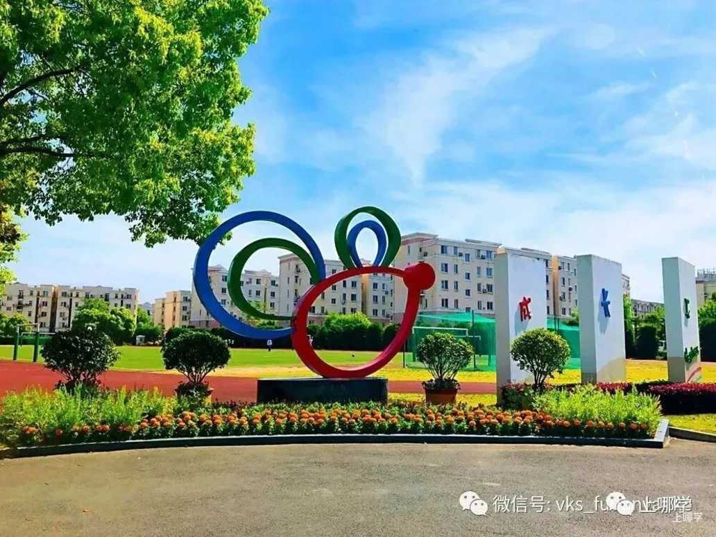 可跨区填报！2025年上海全市招生民办小学名单出炉，今年新增2所！多校减招！相关资料 22