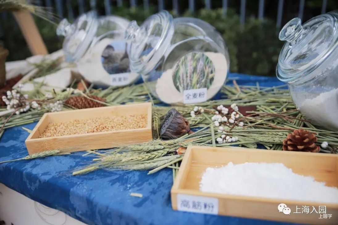 上海这家幼儿园有什么特别？小朋友挑战100天连续阅读、每年举办美食节…特色课程全面开花，只为培养更丰富的兴趣爱好！相关资料 15