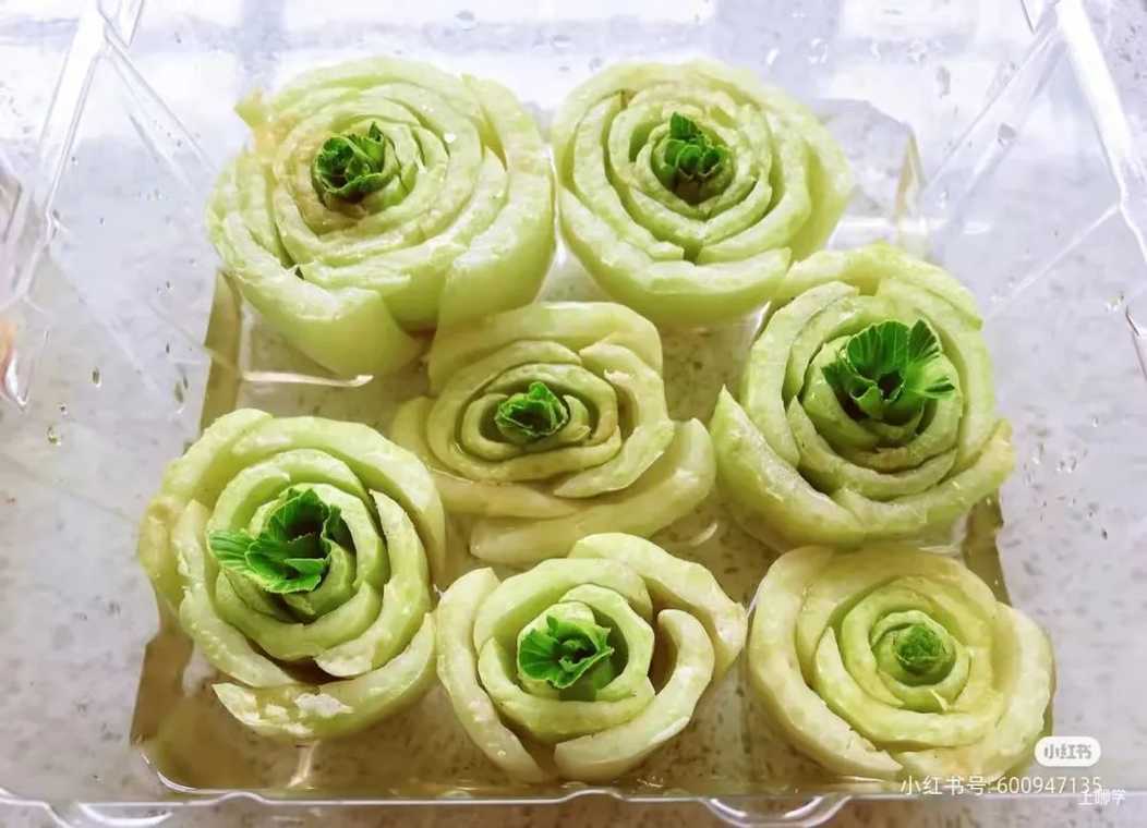 寓教于乐！这些绿叶菜的根别扔！水上菜园，带娃一起见证植物的生长！相关资料 9