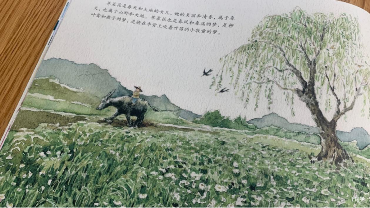 涨价了！正在涨，还要涨！分班必备！上海地区80%以上幼儿园订阅、幼儿语言启蒙天花板《看图说话》，懂的都懂！相关资料 17
