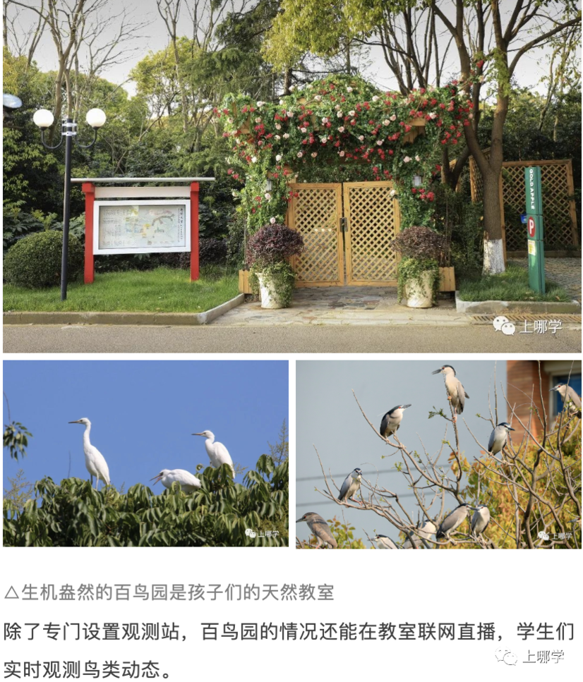 择校怎么选？站在未来看现在，这所学校是如何因材施教培养“未来型人才”？相关资料 3