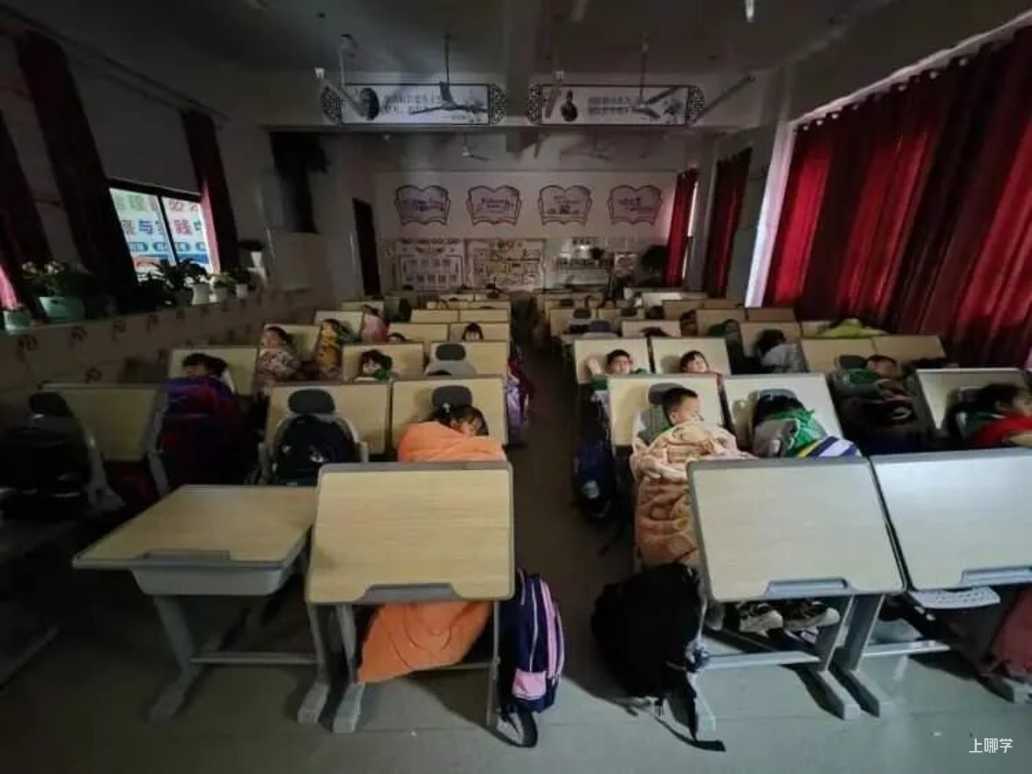 上海这一区正在试点：学生躺平午睡！国家标准刚刚出台！网友：建议全国推广相关资料 9