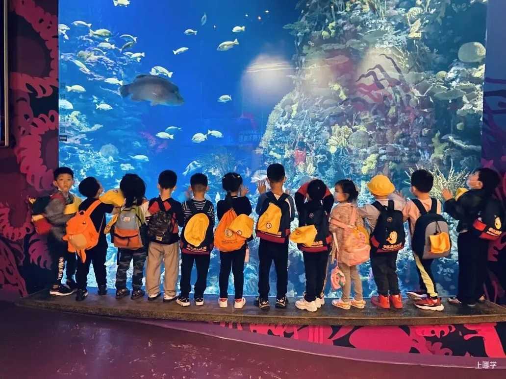 魔都这所“白月光”IB幼儿园招生啦！拥有高尔夫、击剑等10余门课后延时课！相关资料 45