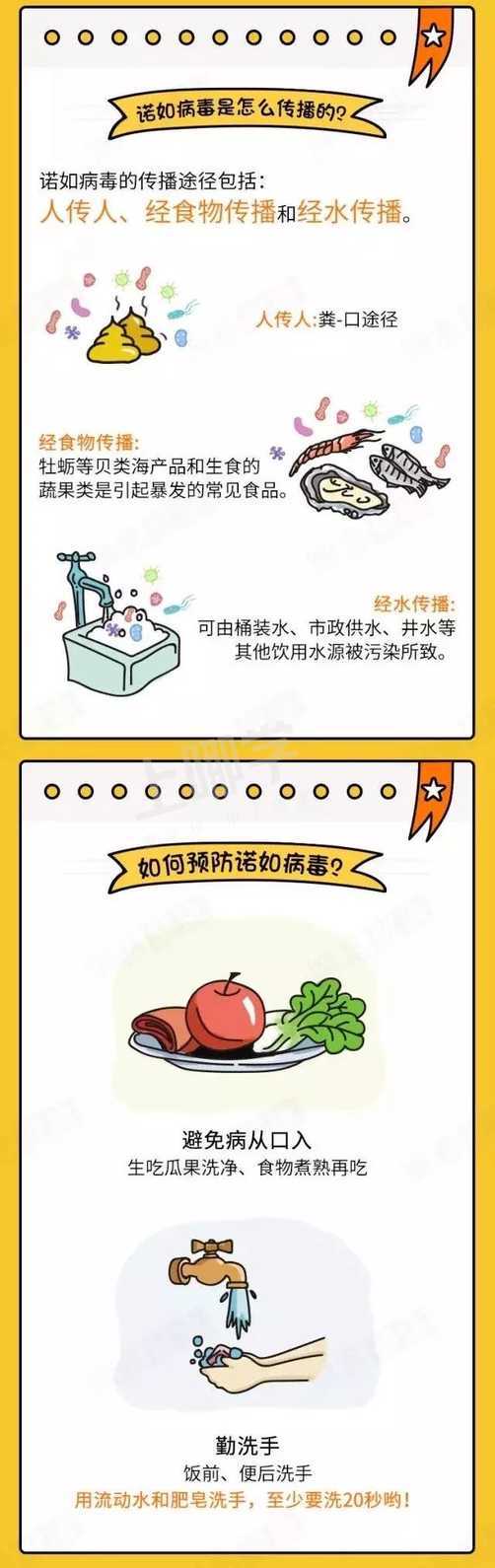 一图读懂能让你患上急性肠胃炎的诺如病毒～相关资料 2