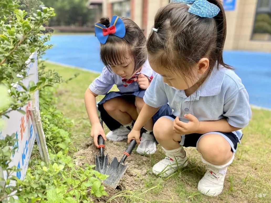 上海宝山区哈贝双语幼儿园2022学年招生简章相关资料 6