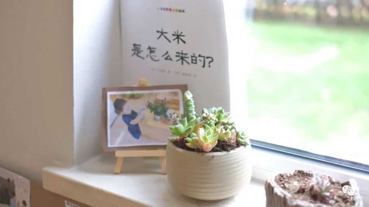 杭州这所高端双语幼儿园，颜值实力爆表！占地740000㎡，硬件超壕！英式EYFS课程体系，倡导全人教育！相关资料 10