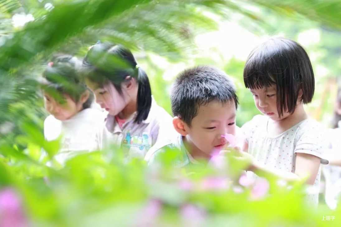上海市徐汇区机关建国幼儿园2022年招生简章！招托班相关资料 11