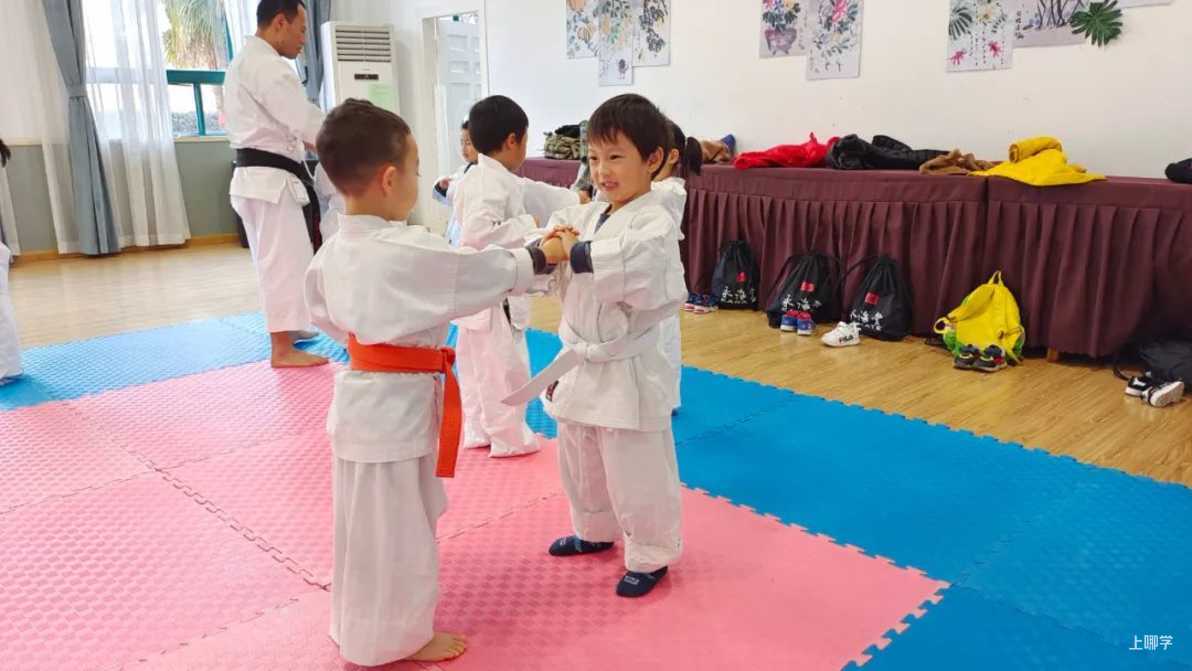 上海宝山区高境贝贝马艺术幼儿园开始招生啦！！！相关资料 79