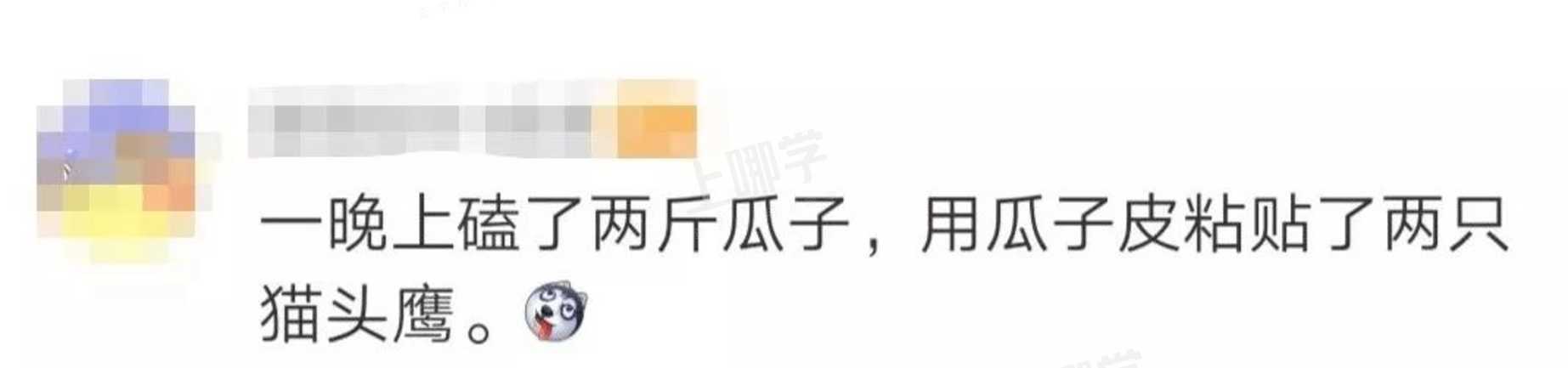 逼疯家长的幼儿园手工作业！有你的同款吗？有老师表示，真的绝了！哈哈哈哈哈哈哈相关资料 6