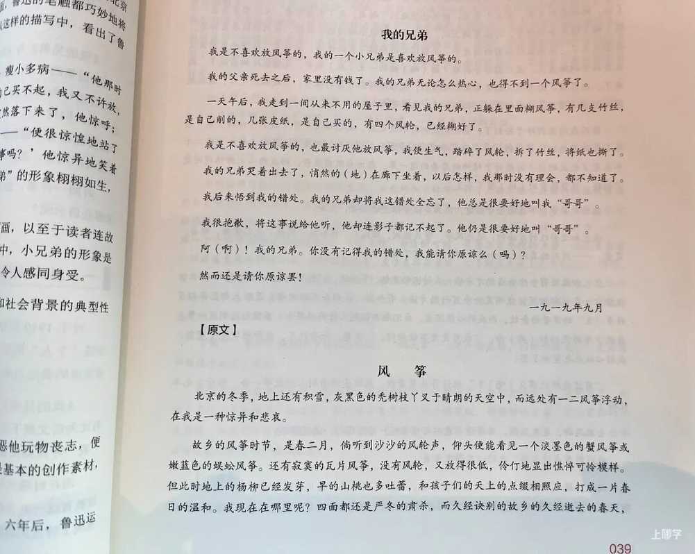 每年8万名上海中考生，为啥只有5%能拿到作文高分？相关资料 5