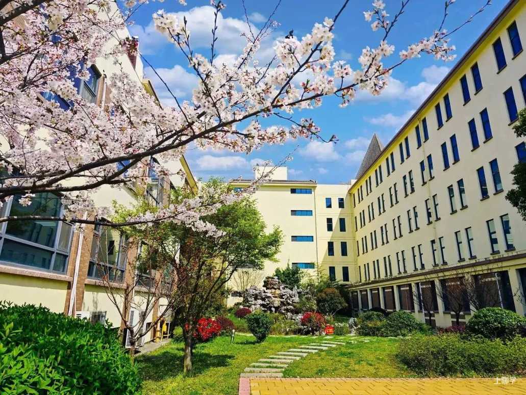 可跨区填报！2025年上海全市招生民办小学名单出炉，今年新增2所！多校减招！相关资料 15