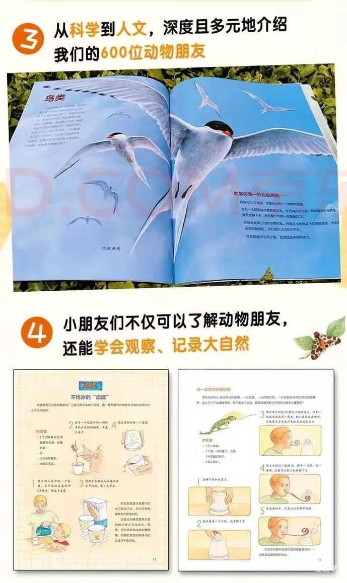 5岁后，孩子这种表现是当学霸的料！说明你把孩子养得很好相关资料 38