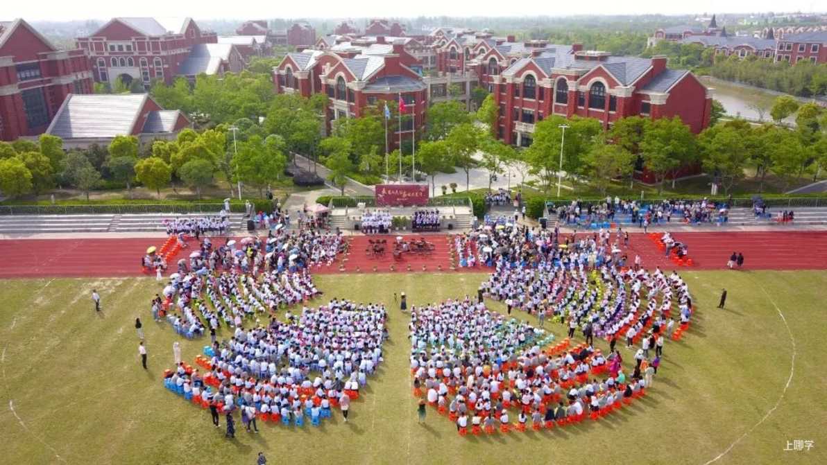 2026年上海市实验学校附属东滩学校招生简章相关资料 7