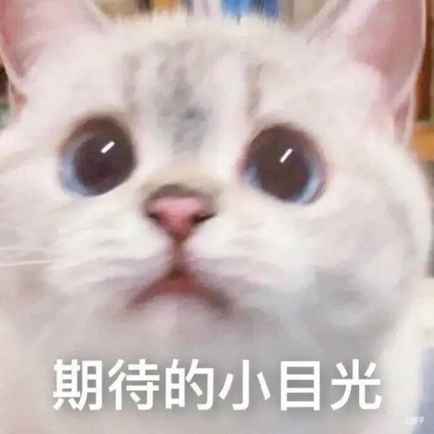 跨年夜，上海会下雪吗？附幼儿冬日穿衣指南～相关资料 2