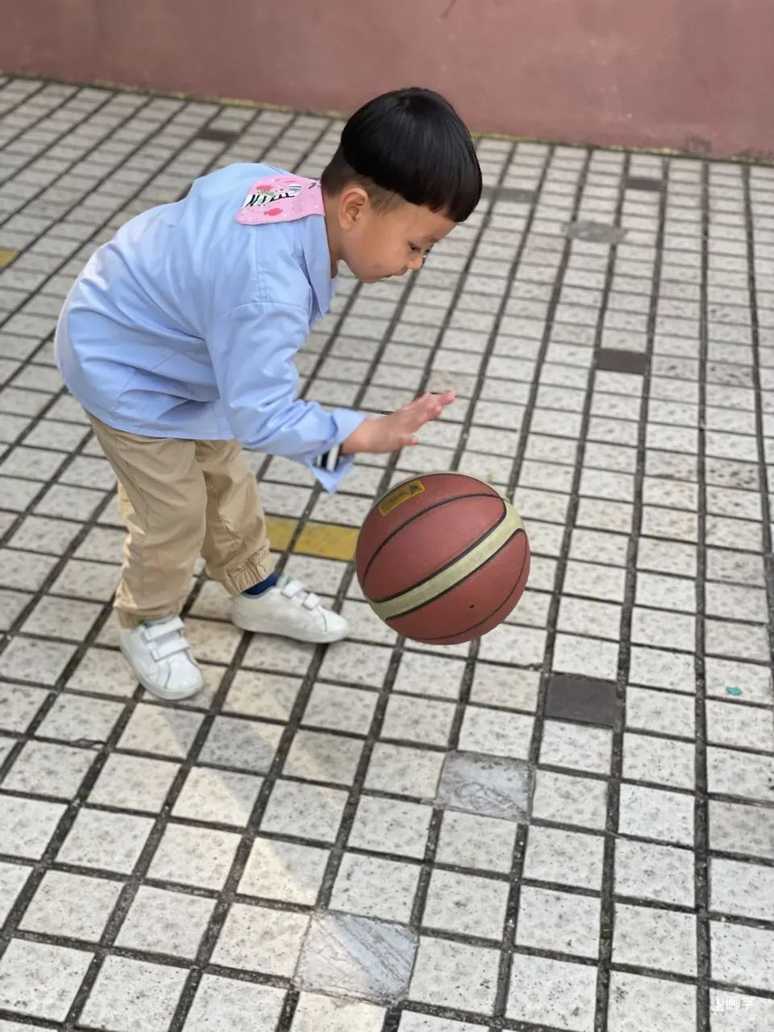 上海宝山区高境贝贝马艺术幼儿园开始招生啦！！！相关资料 85