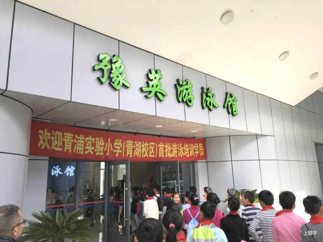 操场上的学校|上海市青浦区豫英小学：创特色 强体魄 育英才相关资料 12