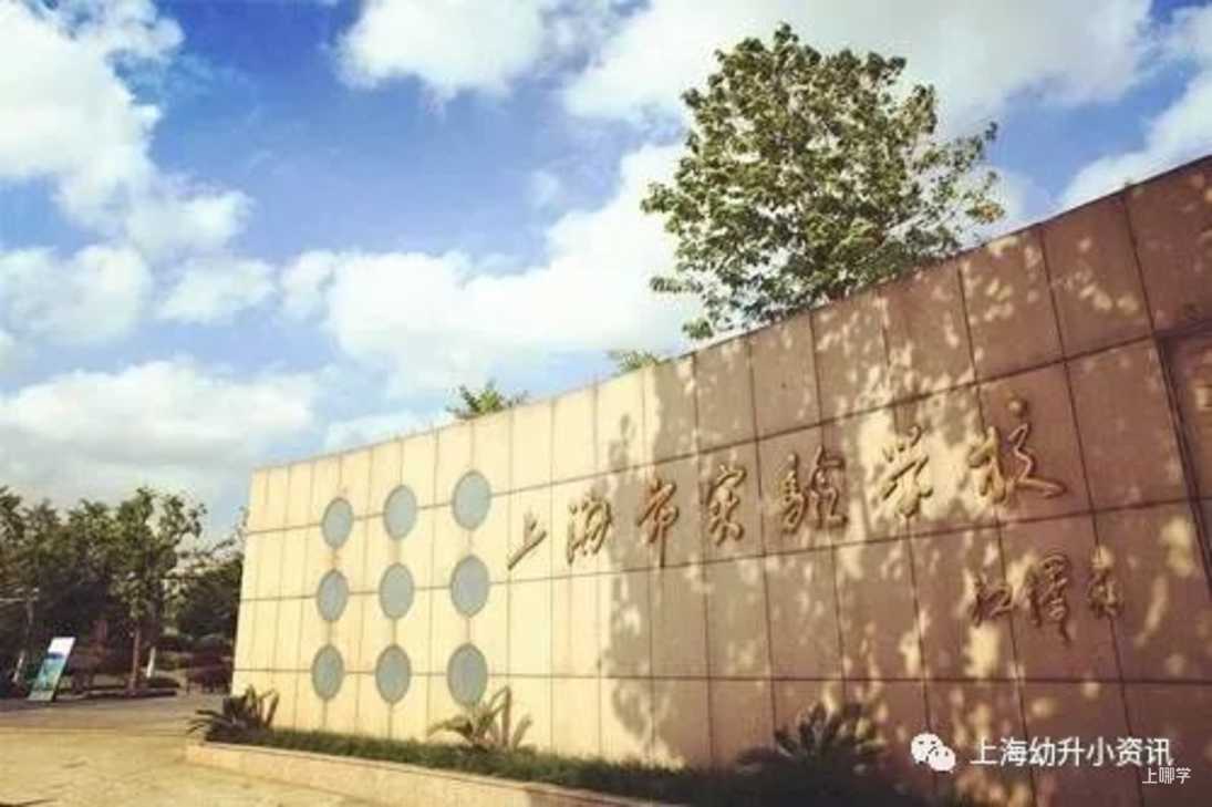 刚刚！上实发布25年招生简章，全市招生，不限户籍相关资料 4