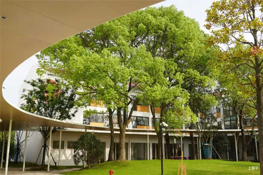 上海这所幼儿园搬新校区了！新址户外就占地4000㎡，被赞为“最富野性幼儿园”！相关资料 8